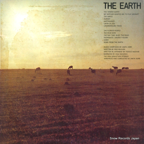 ISHIZAKA, KOJI the earth P-8282W
