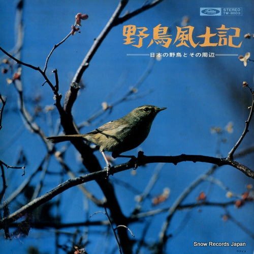 DOCUMENTARY yachofudoki / nihon no yacho to sono shuhen TW-8003