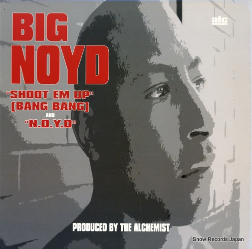 NOYD, BIG shoot em up/n.o.y.d ALC-007