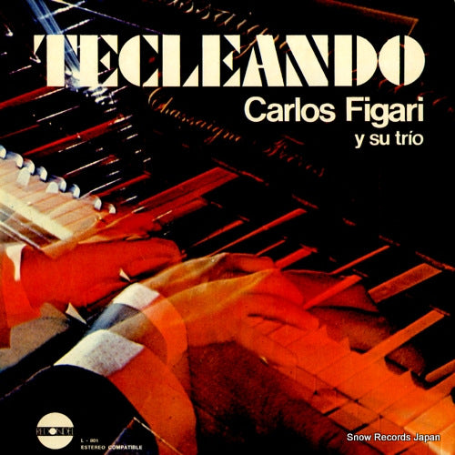 FIGARI, CARLOS tecleando L-801