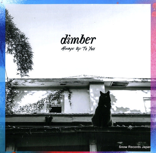 DIMBER always up 2 u DBR221