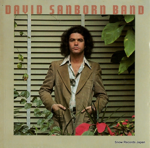 SANBORN, DAVID promise me the moon BS3051