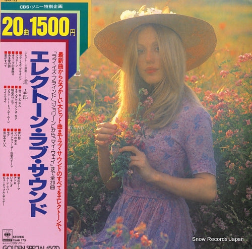 MICHI, SHIRO love sounds by electone 15AH173