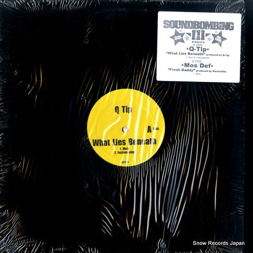 Q-TIP / MOS DEF what lies beneath / freak daddy DS111