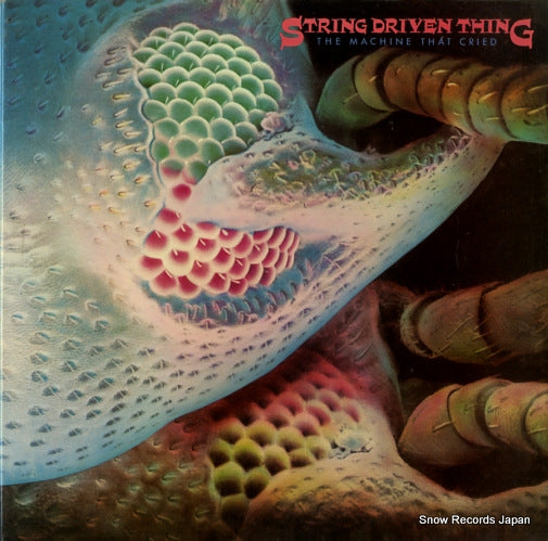 STRING DRIVEN THING the machine that cried CAS1070