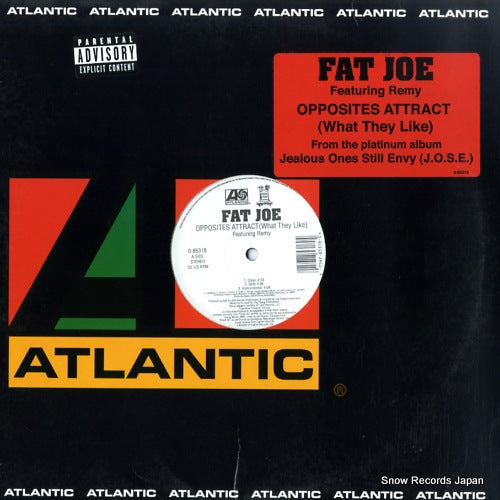 JOE, FAT opposites attract (what they like) 0-85318