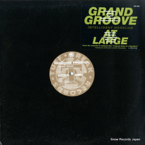 INTELIGENT HOODLUM grand groove / at large MR-098