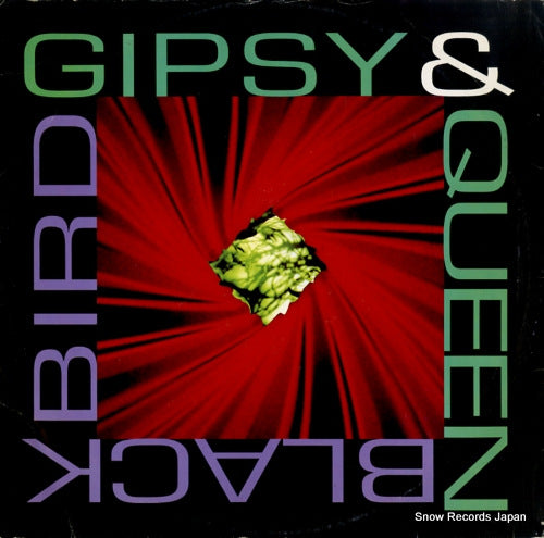 GIPSY AND QUEEN black bird TRD1200