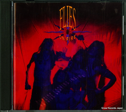 FLIES ON FIRE outside looking inside 791675-2