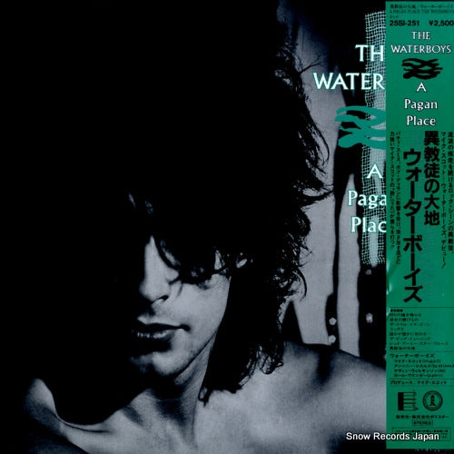 WATERBOYS, THE a pagan place 25SI-251