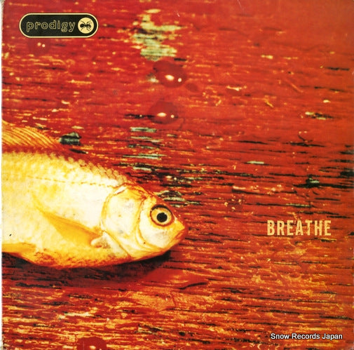 PRODIGY breathe XLT80