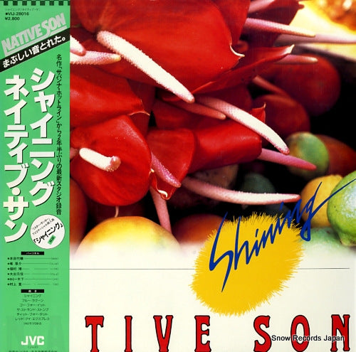 NATIVE SON shinning VIJ-28016