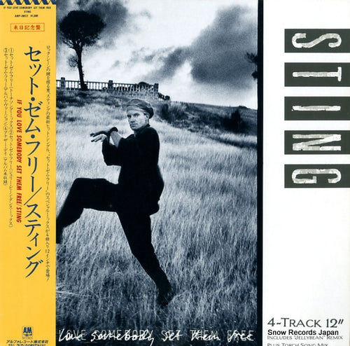 STING if you love somebody set them free AMP-18052