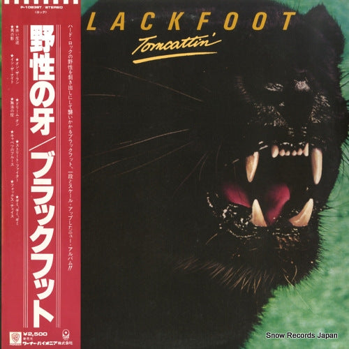 BLACKFOOT tomcattin' P-10838T