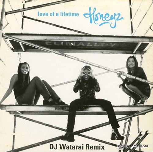 HONEYZ love of a lifetime (dj watarai remix) MR-092