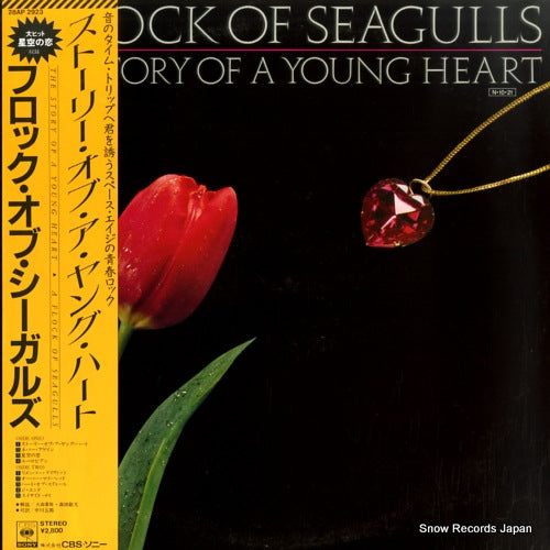 A FLOCK OF SEAGULLS the story of a young heart 28AP2923