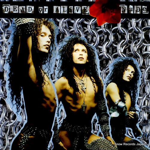 DEAD OR ALIVE nude 25.3P-5160