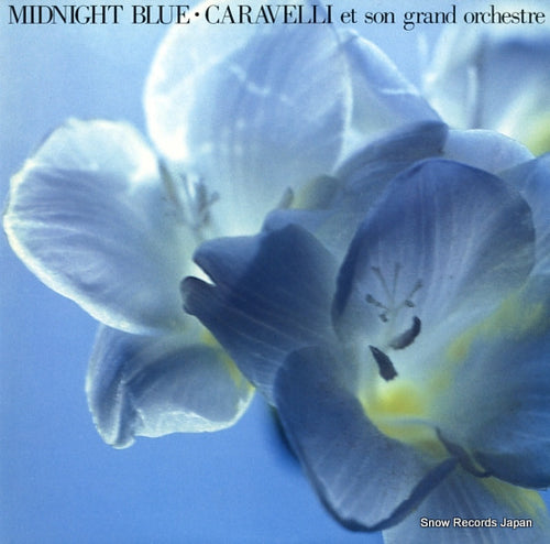 CARAVELLI midnight blue 28.3P-470