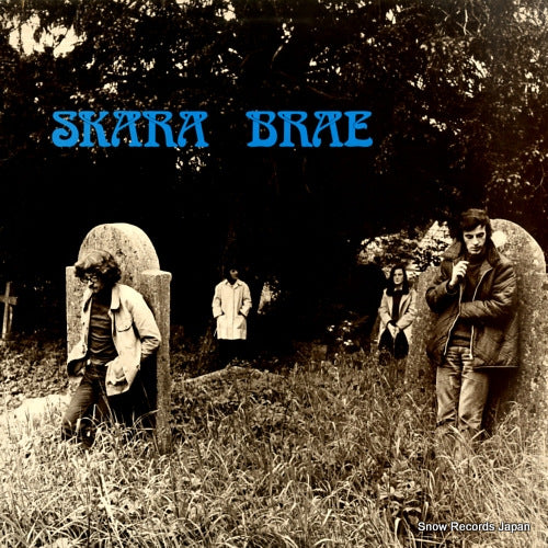 SKARA BRAE skara brae SHANACHIE79034