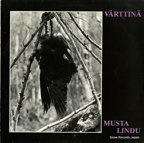 VARTTINA musta lindu OMLP22