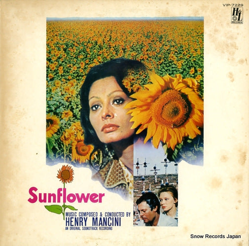 MANICINI, HENRY sunflower VIP-7229
