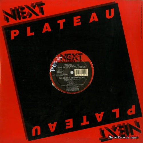 DOUBLE T AND THE DOWNTOWN POSSE owner of a broken heart NP50104