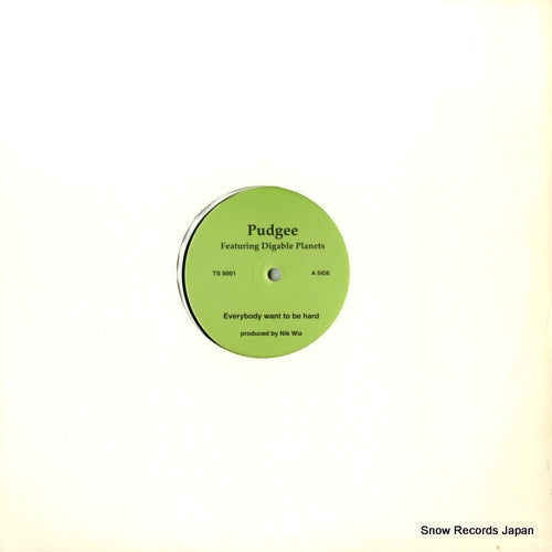 PUDGEE everybody want to be hard / inner city blues TS0001