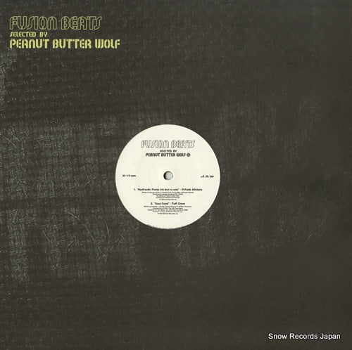 V/A fusion beats RR12-88373