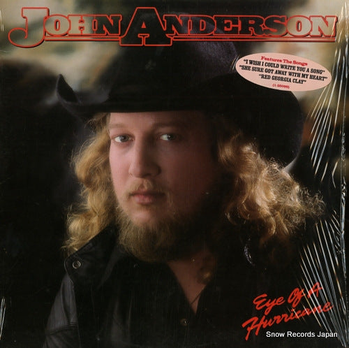 ANDERSON, JOHN eye of a hurricane 1-25099