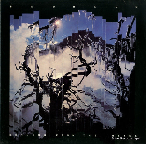 BAUHAUS burning from the inside BEGA45