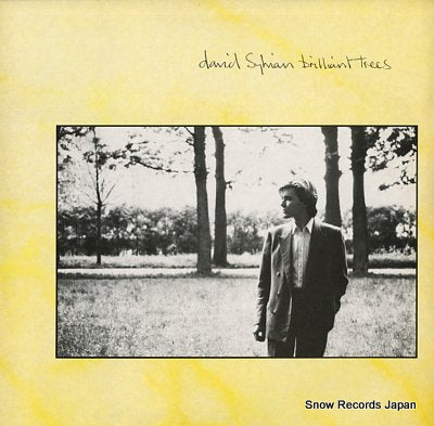 SYLVIAN, DAVID brilliant trees V2290