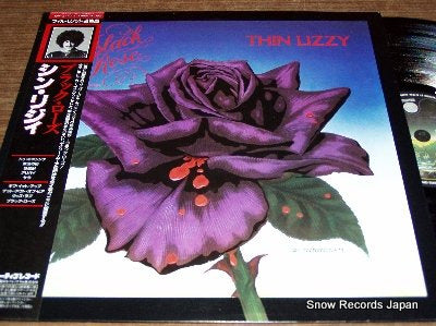THIN LIZZY black rose 17PP-2