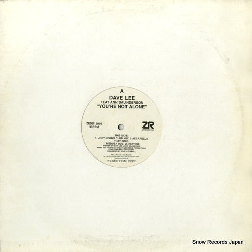 LEE, DAVE you're not alone ZEDD12080