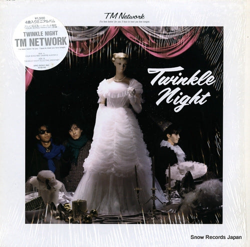 TM NETWORK twinkle night 15.3H-185