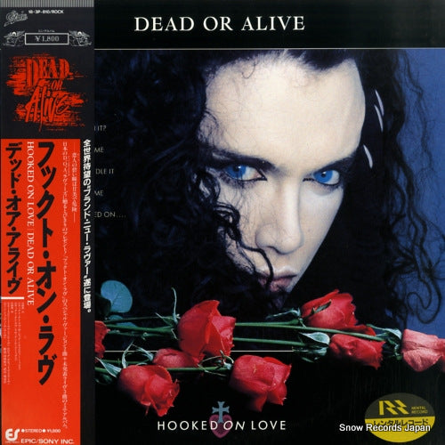 DEAD OR ALIVE hooked on love 18.3P-810