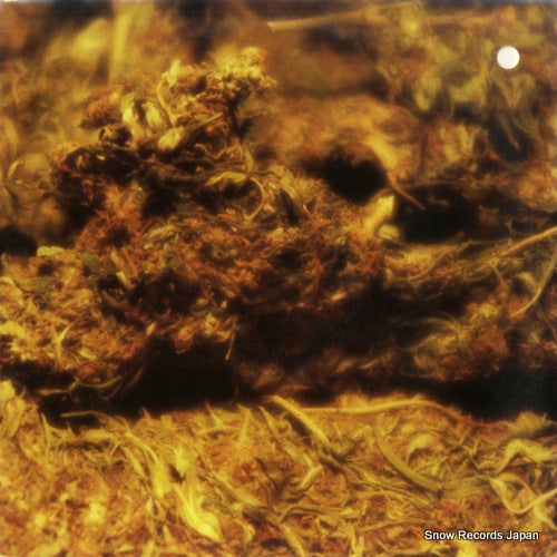 D'ANGELO brown sugar Y-58360