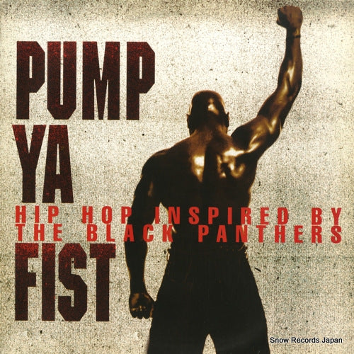 V/A pump ya fist (hip hop inspired by the black panthers) 527609-1
