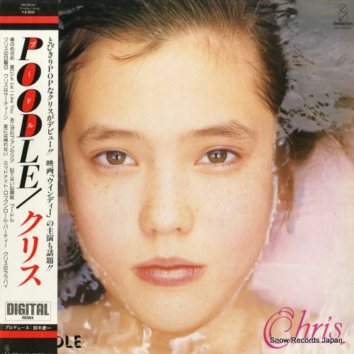 CHRIS poodle VIH-28167