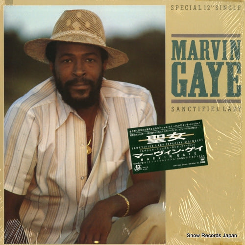 GAYE, MARVIN sanctified lady 12AP3044