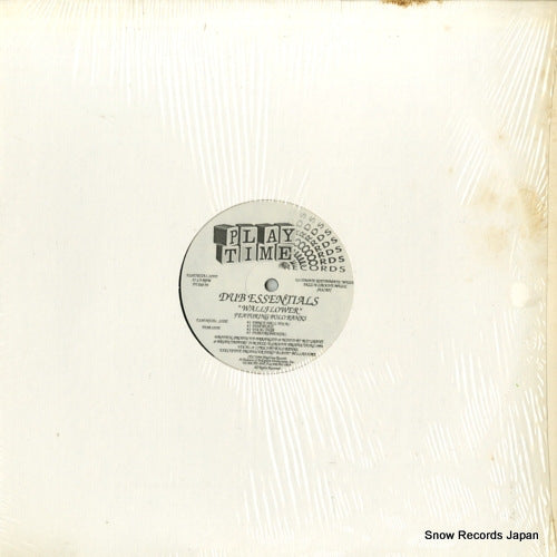 DUB ESSENTIALS wallflower PT-010-94