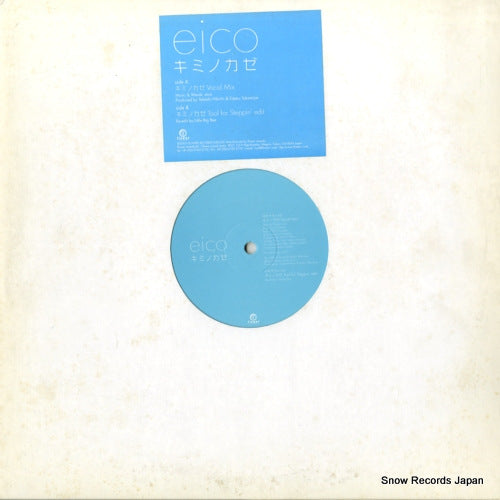 EICO kiminokaze FLRS-026