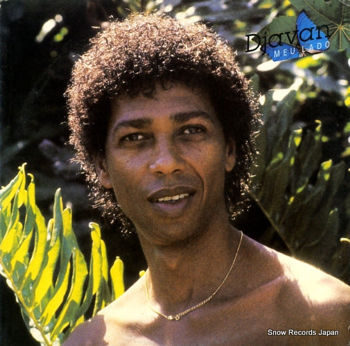 DJAVAN meu lado 28.3P-746