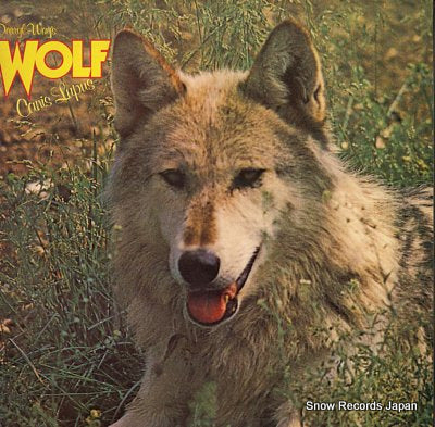 WOLF canis lupus SDL14