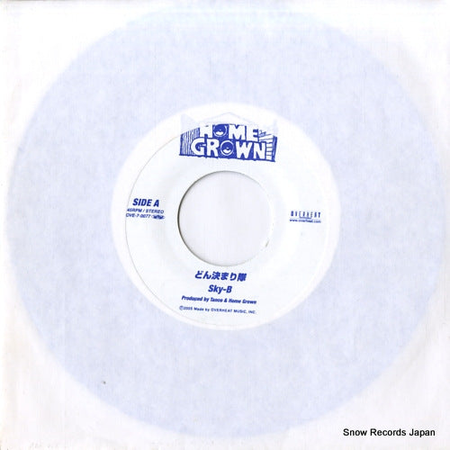 SKY-B don kimaritai OVE-7-0077