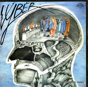 VYBER vyber 11134068