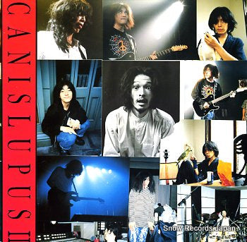 CANIS LUPUSI ii AD-001