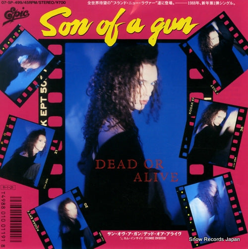DEAD OR ALIVE sun of a gun 07.5P-499
