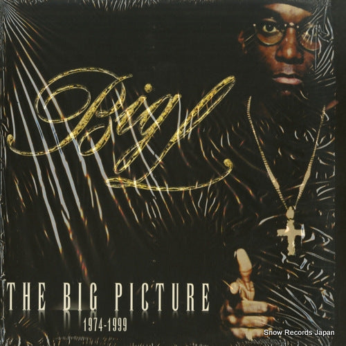 BIG L the big picture 1974-1999 RWK-1178