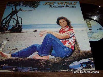 VITALE, JOE plantation harbor P-11040Y