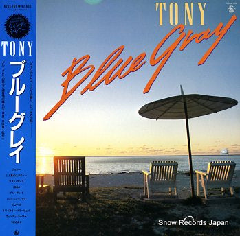 BLUE GRAY tony K28A-169